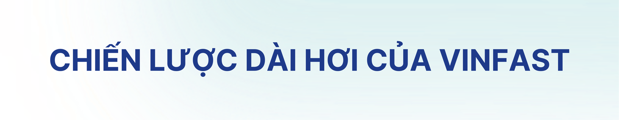 'Cú đấm’ ở phân khúc xe dịch vụ và cách VinFast xây chắc vị thế số 1 thị trường - Ảnh 6