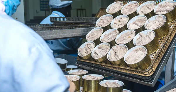 Giá siêu thực phẩm 'ngon bổ rẻ' của Việt Nam bất ngờ chạm đáy 2 năm - Đơn hàng từ Mỹ và EU đều chững lại