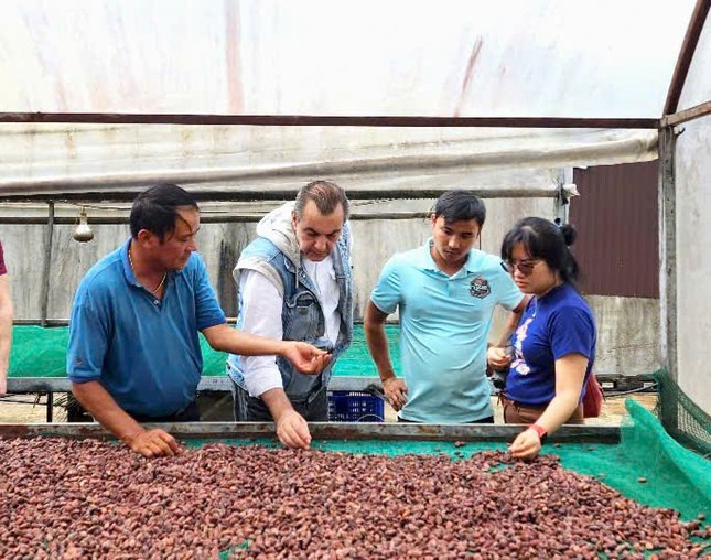 Ca cao khan hiếm giữa ‘cơn sốt’ giá kỷ lục - Ảnh 2