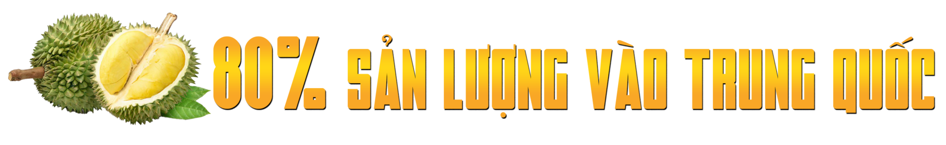 Sầu riêng rớt giá thê thảm, làm sao ‘giảm phụ thuộc vào thị trường tỷ USD’? - Ảnh 1