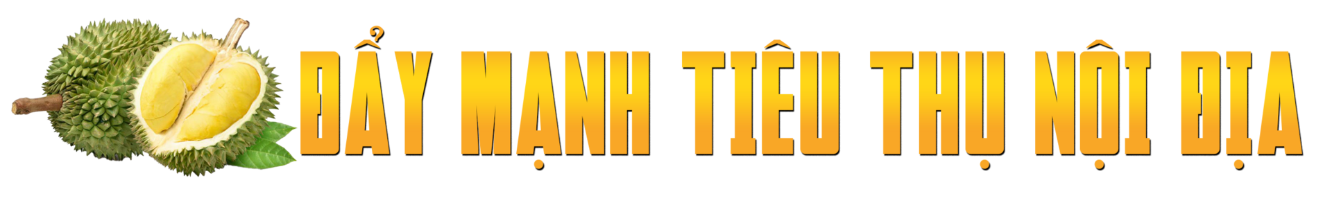 Sầu riêng rớt giá thê thảm, làm sao ‘giảm phụ thuộc vào thị trường tỷ USD’? - Ảnh 4