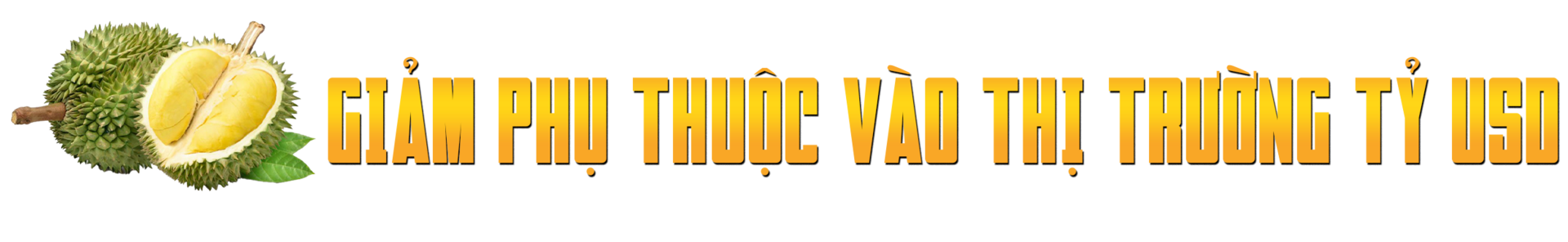 Sầu riêng rớt giá thê thảm, làm sao ‘giảm phụ thuộc vào thị trường tỷ USD’? - Ảnh 6