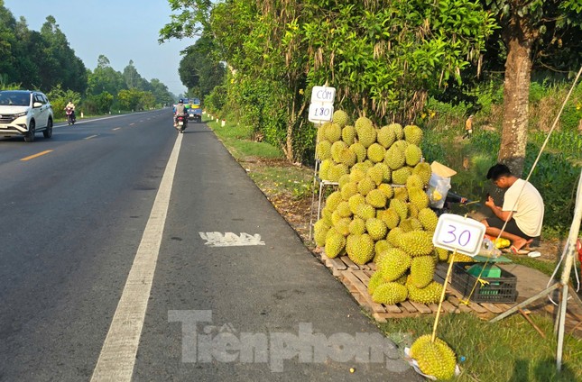 Sầu riêng ‘rẻ như bèo’ bán đầy đường - Ảnh 1
