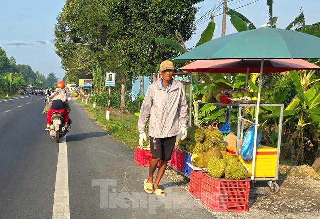 Sầu riêng ‘rẻ như bèo’ bán đầy đường - Ảnh 2