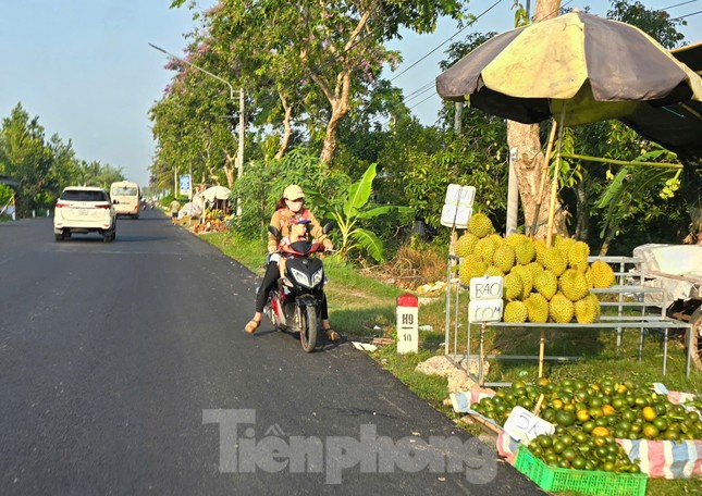 Sầu riêng ‘rẻ như bèo’ bán đầy đường - Ảnh 4