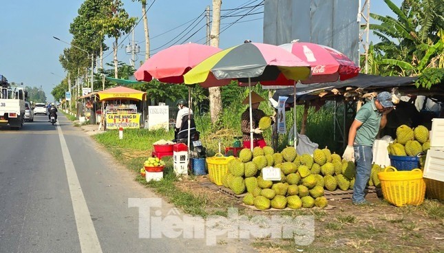 Cám cảnh 'trái cây vua': Tiểu thương thờ ơ, người trồng mỏi mòn chờ khách - Ảnh 2