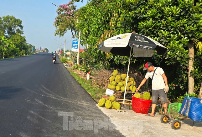 Sầu riêng ‘rẻ như bèo’ bán đầy đường - Ảnh 3