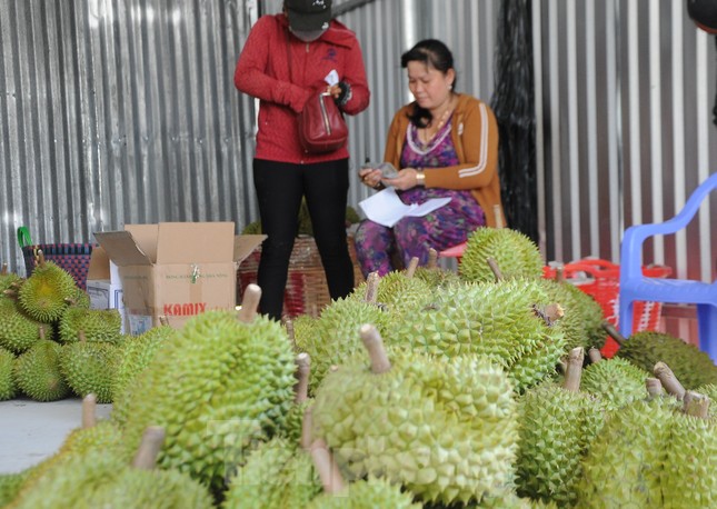 Sầu riêng ‘rẻ như bèo’ bán đầy đường - Ảnh 9