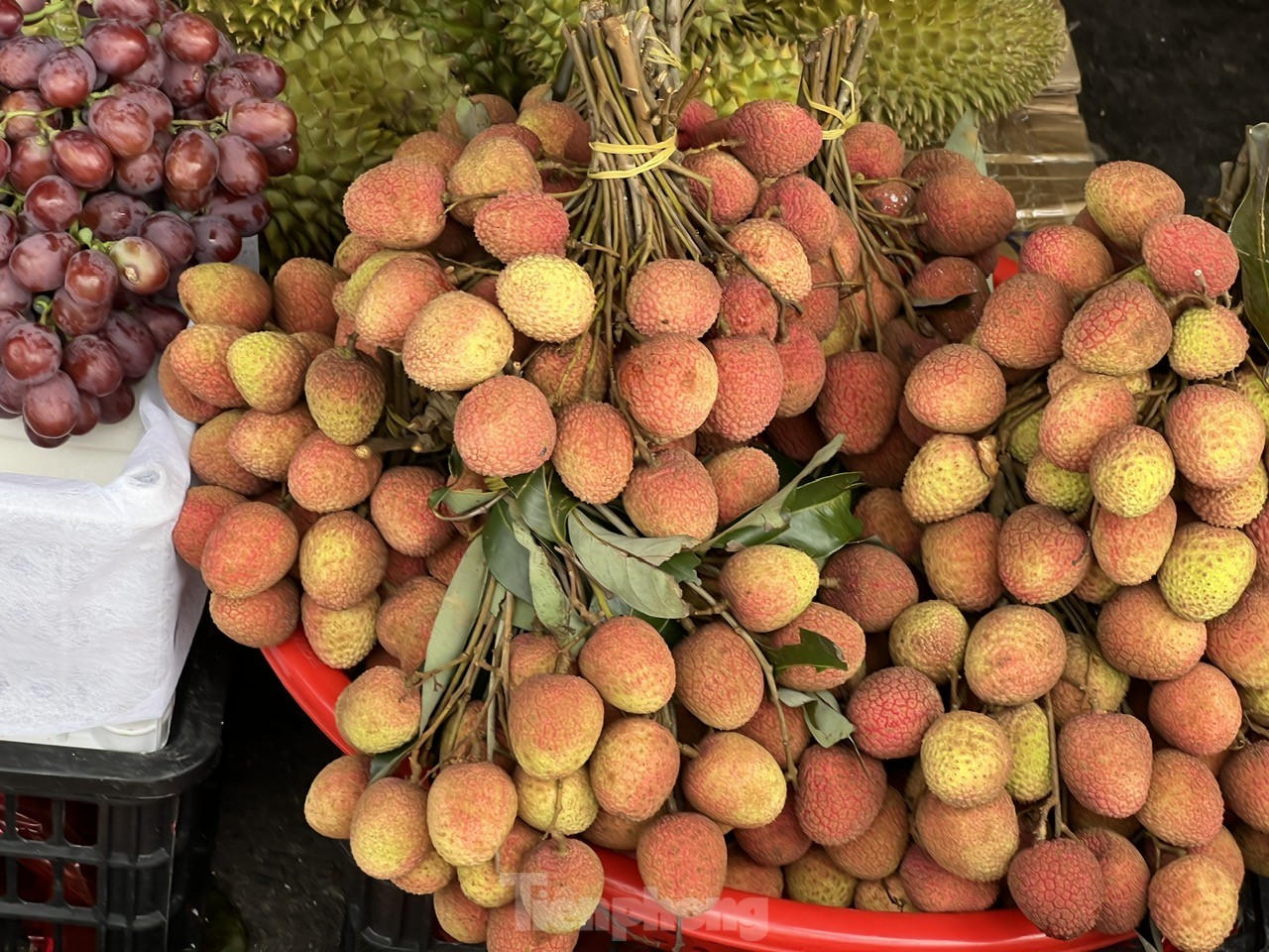 Vải thiều vào vụ, giá rẻ bất ngờ - Ảnh 9