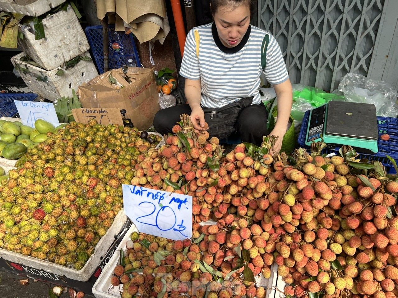 Vải thiều vào vụ, giá rẻ bất ngờ - Ảnh 1