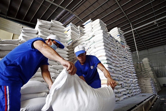 Đề xuất quy định mới về kinh doanh xuất khẩu gạo - Ảnh 1