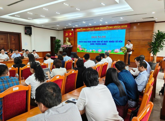 Lý do người Trung Quốc chưa biết nhiều về tổ yến Việt Nam - Ảnh 1