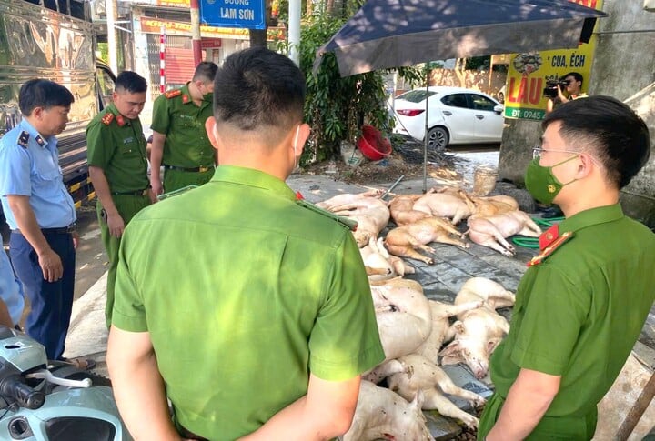 Kinh hãi gần 800 kg thịt lợn bốc mùi suýt bị tuồn ra thị trường - Ảnh 1