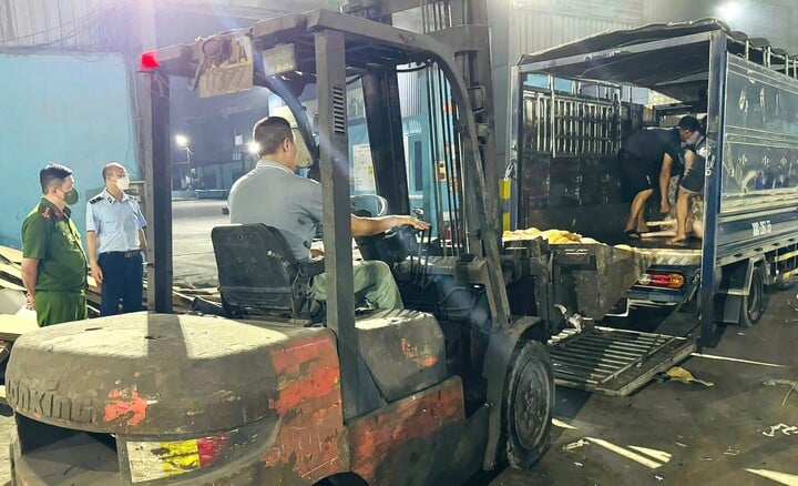 Kinh hãi gần 800 kg thịt lợn bốc mùi suýt bị tuồn ra thị trường - Ảnh 2