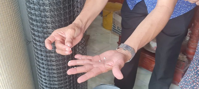 Phát hiện ‘gạo lạ’ ở Hậu Giang - Ảnh 1