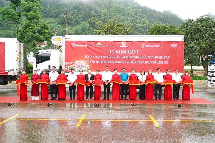 Vietnam Airlines đưa mận hậu Sơn La lên thực đơn trên không - Ảnh 1