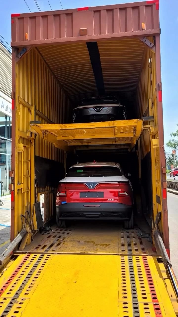 Lô xe VinFast đầu tiên đã về đại lý Ấn Độ nhưng người Ấn khao khát cỡ nào cũng không mua được vì 1 điều - Ảnh 2