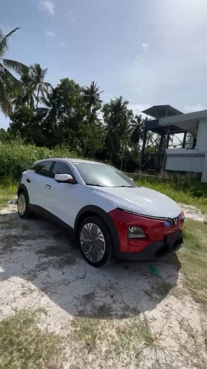 Lô xe VinFast đầu tiên đã về đại lý Ấn Độ nhưng người Ấn khao khát cỡ nào cũng không mua được vì 1 điều - Ảnh 5