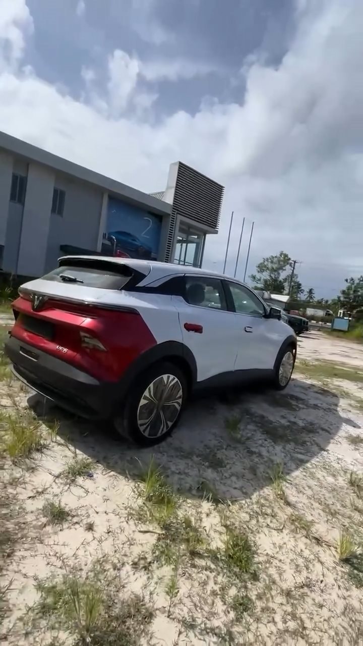 Lô xe VinFast đầu tiên đã về đại lý Ấn Độ nhưng người Ấn khao khát cỡ nào cũng không mua được vì 1 điều - Ảnh 4