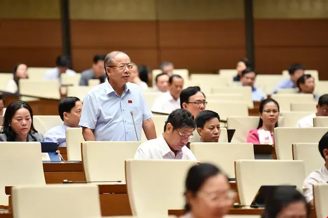 Toàn hàng bất hợp pháp bán trên sàn thương mại điện tử - Ảnh 2