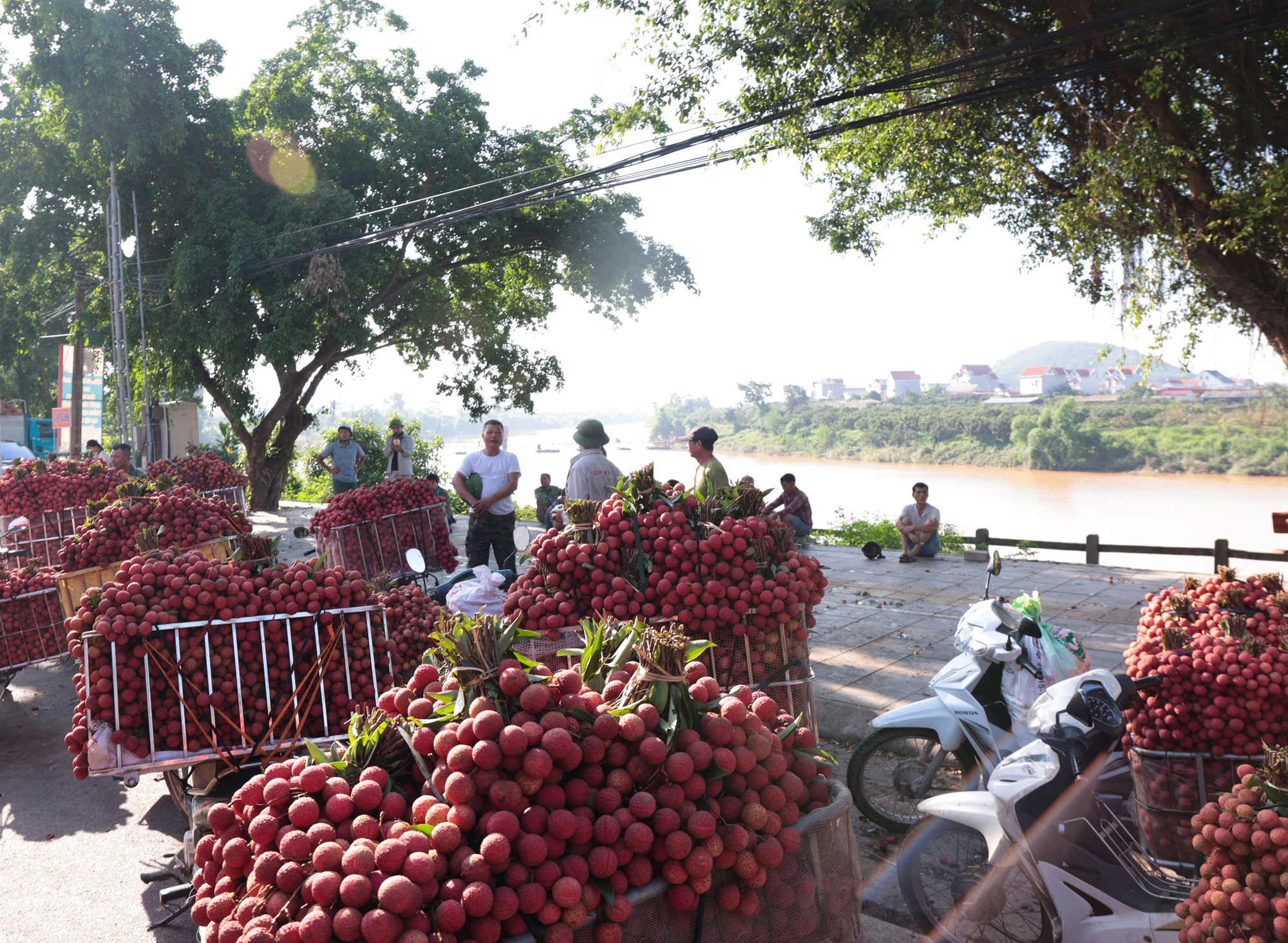 Sáng mùng 1 âm lịch, người dân Bắc Giang bàng hoàng vì giá vải bỗng dưng giảm mạnh, chỉ còn 3.000 đồng/kg - Ảnh 5