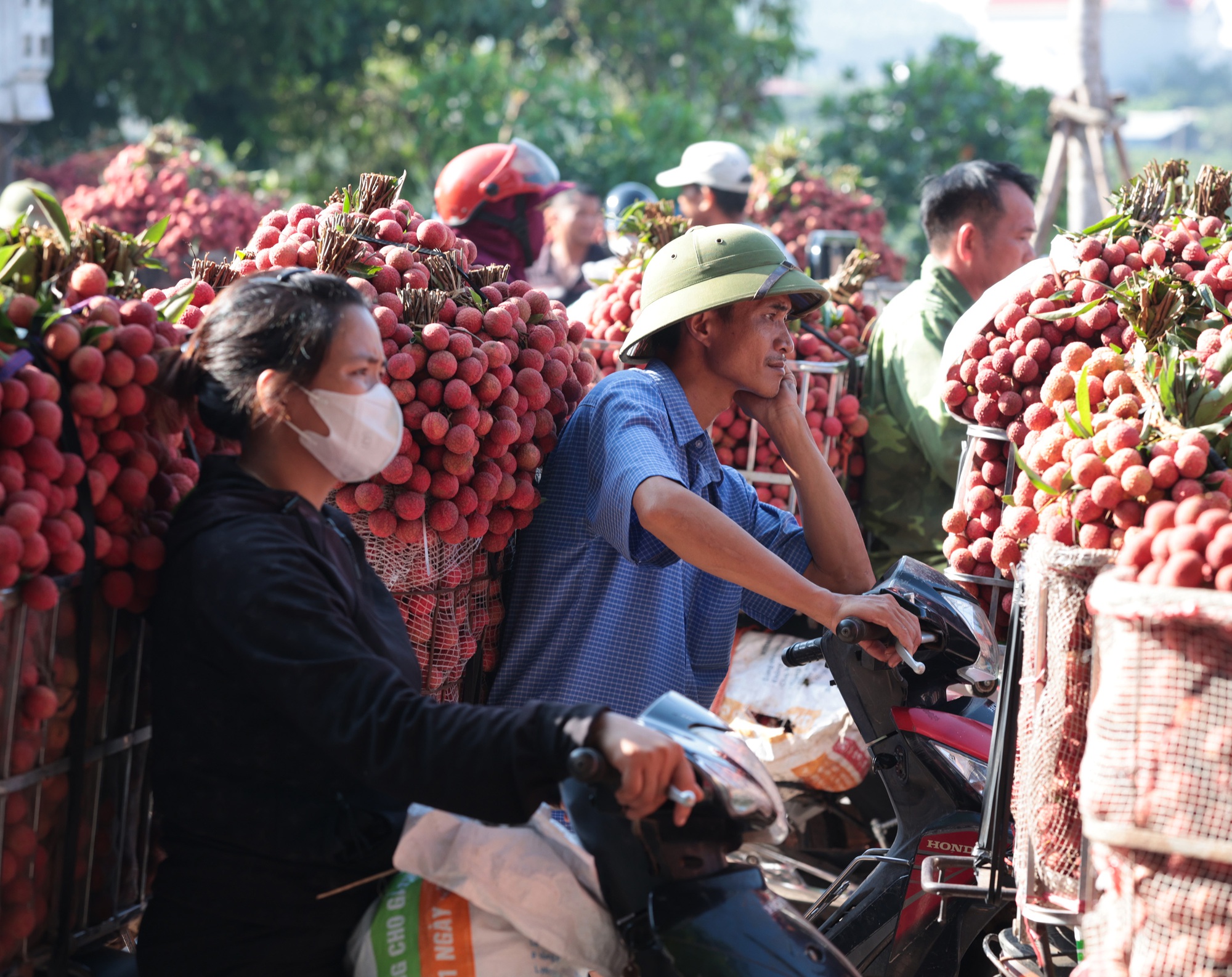 Sáng mùng 1 âm lịch, người dân Bắc Giang bàng hoàng vì giá vải bỗng dưng giảm mạnh, chỉ còn 3.000 đồng/kg - Ảnh 10