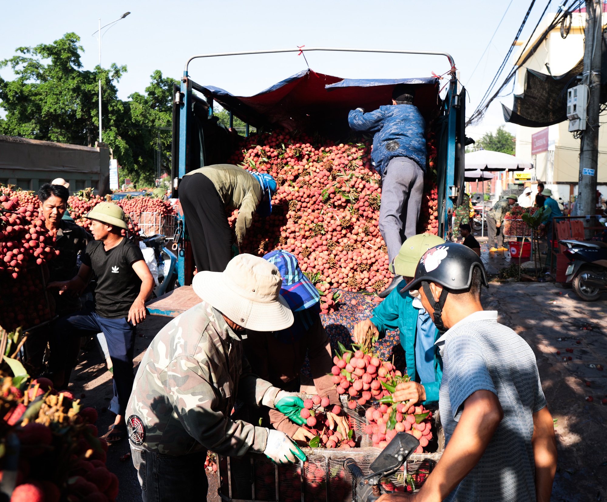Sáng mùng 1 âm lịch, người dân Bắc Giang bàng hoàng vì giá vải bỗng dưng giảm mạnh, chỉ còn 3.000 đồng/kg - Ảnh 12