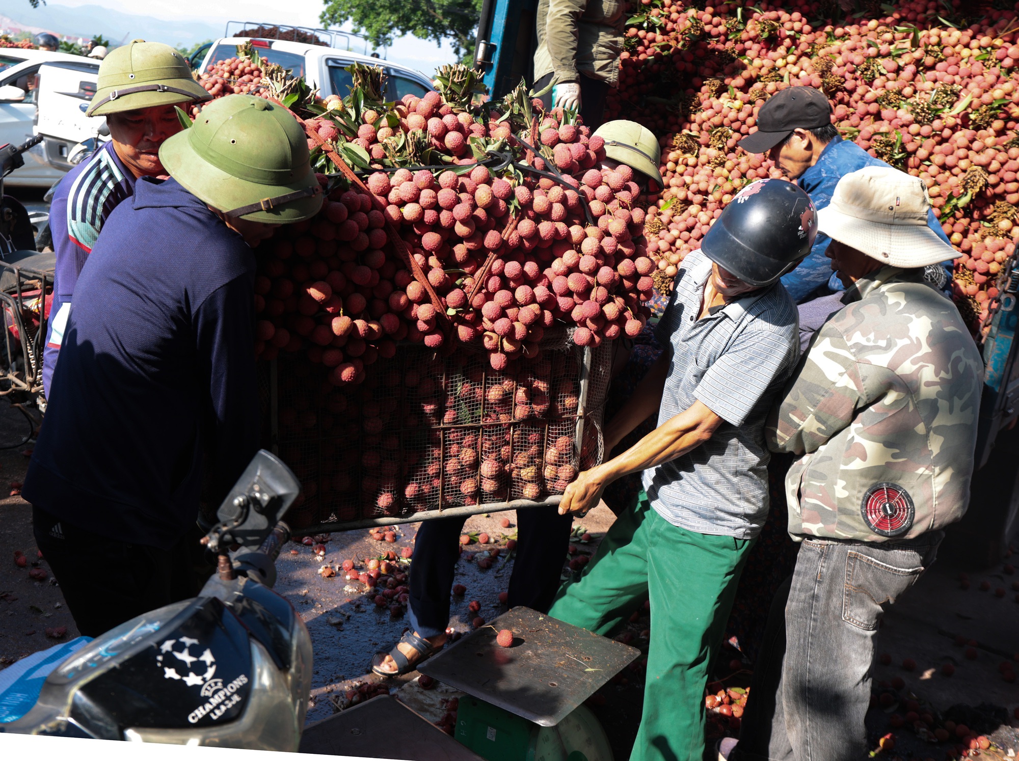 Sáng mùng 1 âm lịch, người dân Bắc Giang bàng hoàng vì giá vải bỗng dưng giảm mạnh, chỉ còn 3.000 đồng/kg - Ảnh 11