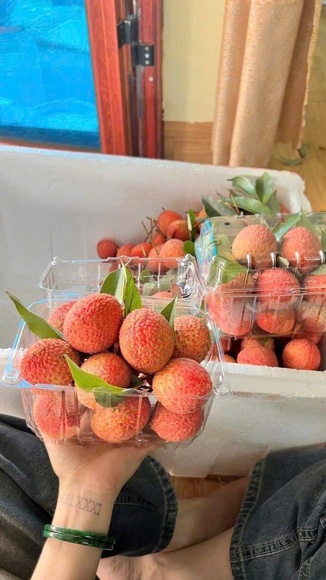 Loại vải hơn 10.000đ/quả, to bằng trứng gà: Người ăn nhận xét "Chưa bao giờ ăn vải nào ngon thế này" - Ảnh 5