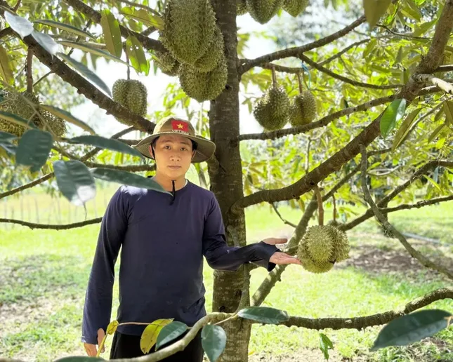 Rộ tour du lịch sầu riêng ở Đông Nam Á - Ảnh 2