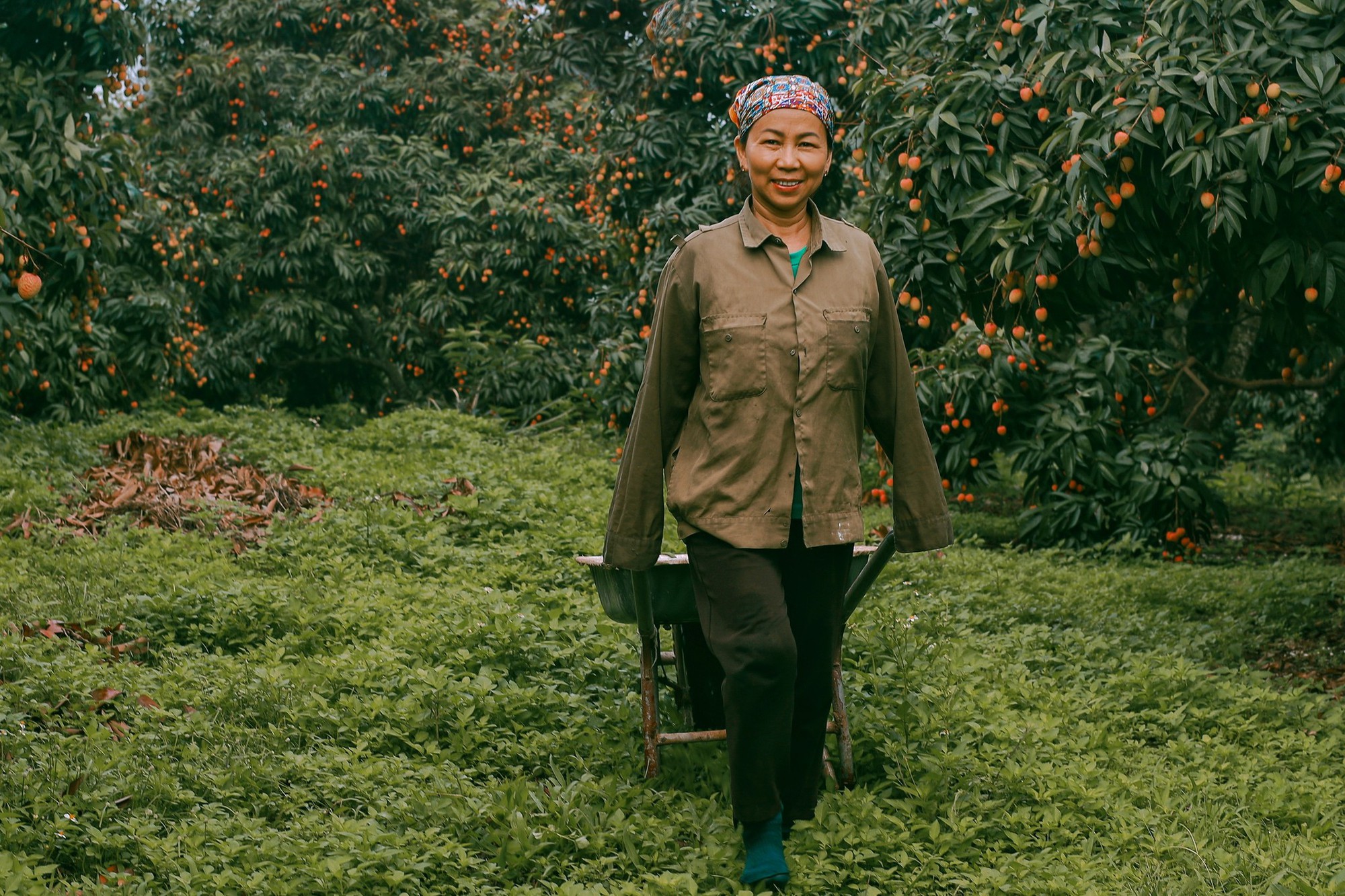 Cảm nhận niềm vui lao động qua bộ ảnh người dân thu hoạch vải - Ảnh 10