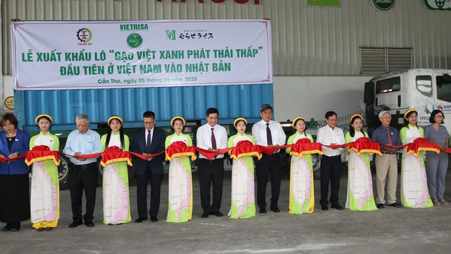 Một lô hàng 500 tấn vừa được xuất sang Nhật Bản: Việt Nam là nước đầu tiên trên thế giới làm được điều này - Ảnh 2