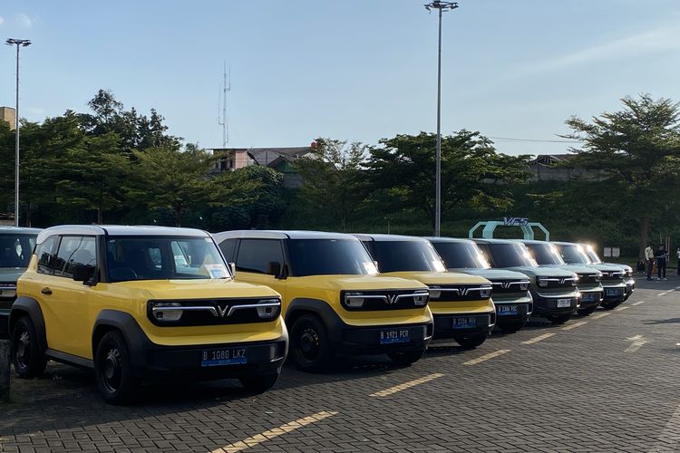 VinFast xác nhận nhà máy tại Indonesia hoạt động cuối năm nay: Công suất 50.000 xe/năm, VF 3 là mẫu xe đầu tiên xuất xưởng - Ảnh 2