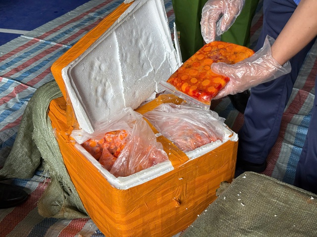 Rùng mình hình ảnh 20 tấn nội tạng bò, gà nấm mốc, bốc mùi hôi thối ém trong container đông lạnh - Ảnh 5