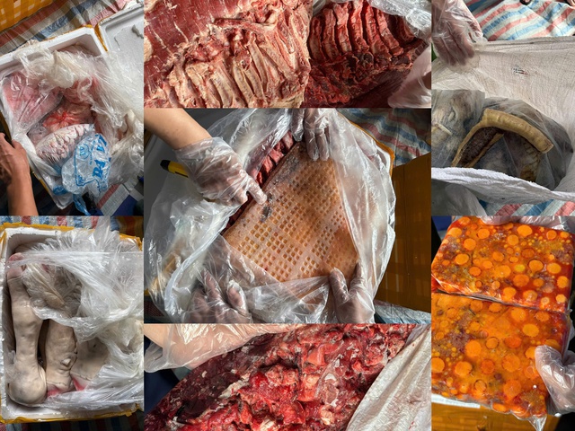 Rùng mình hình ảnh 20 tấn nội tạng bò, gà nấm mốc, bốc mùi hôi thối ém trong container đông lạnh - Ảnh 3