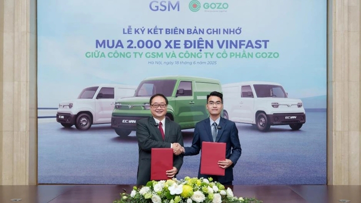 Xe tải điện - ‘Át chủ bài’ giúp thị trường EV tăng 23,8%/năm - Ảnh 3