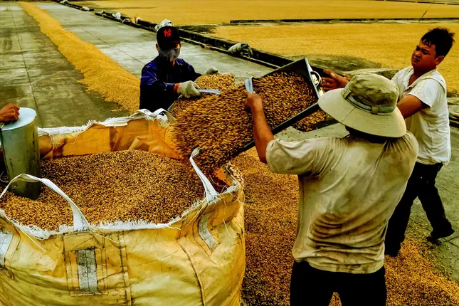 Nỗi lo siêu thị, chợ mạng - Ảnh 1