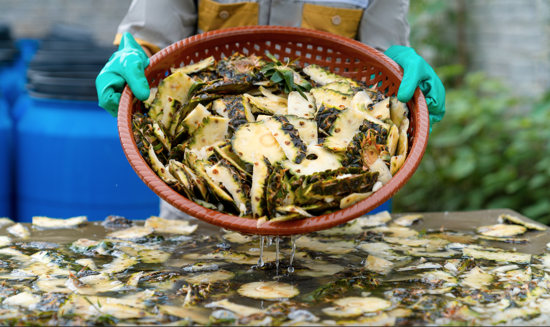 Công ty Việt biến vỏ quả bỏ đi thành mặt hàng kiếm tiền tỷ, chinh phục thị trường Mỹ và Trung Quốc - Ảnh 1