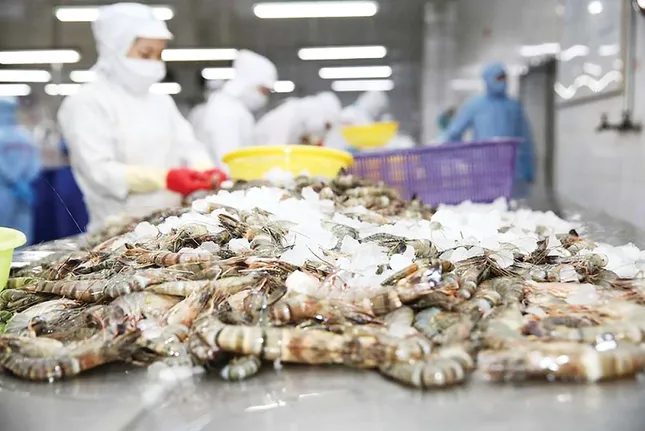 Bất ngờ về thủy sản Việt Nam xuất khẩu - Ảnh 1