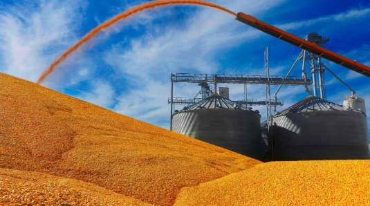 Mỹ tìm ra loạt cứu tinh cho mặt hàng bị Trung Quốc ‘xa lánh’: Hàng loạt khách hàng vừa chốt đơn hàng triệu tấn, giá rẻ hấp dẫn - Ảnh 1