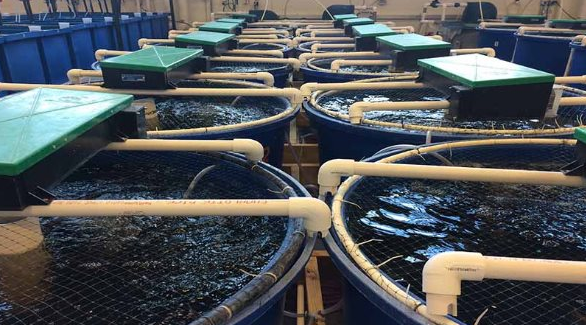 Mỹ, Trung Quốc đua nhau săn mua mỏ vàng của Việt Nam: Bỏ túi hơn 1,7 tỷ USD, nước ta đang trở thành ‘ông trùm’ thứ 3 thế giới - Ảnh 1
