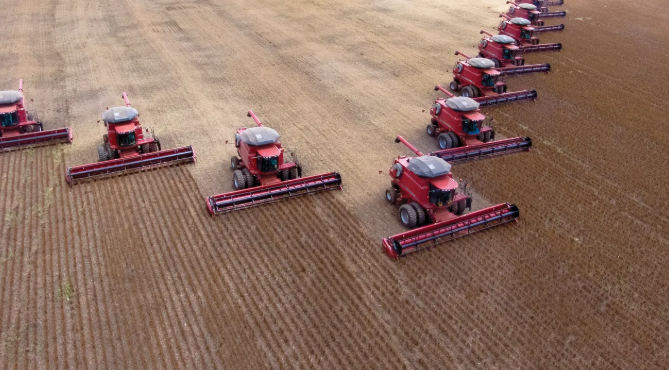 Trung Quốc 'quay lưng' dừng nhập khẩu một mặt hàng quan trọng, đối thủ của Mỹ lập tức bội thu đơn hàng: Nhập khẩu tăng 73% chỉ trong một tháng, sắp đón vụ mùa bội thu - Ảnh 1