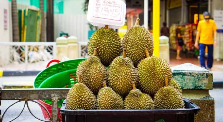 Sau sầu riêng, thêm một mặt hàng của Campuchia 'đối đầu' Việt Nam ở Trung Quốc: Nước ta là nguồn cung lớn nhất, chiếm đến 97% thị phần - Ảnh 1