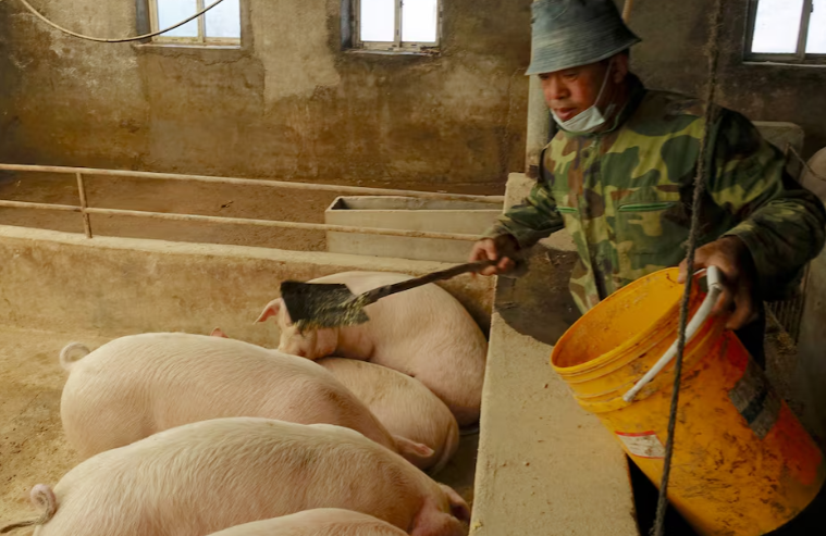 Trung Quốc ‘dằn mặt’ lên một mặt hàng của Mỹ: Sắp cắt giảm nhập khẩu hàng triệu tấn hàng, người chăn nuôi lo ngại bị ảnh hưởng - Ảnh 1