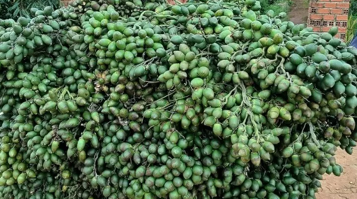 Từng tăng nhập khẩu 1.200%, một mặt hàng từ Trung Quốc đổ bộ ngược trở lại Việt Nam, nước ta chi gần 300 tỷ đồng mua hàng - Ảnh 1