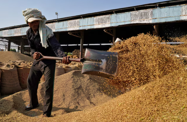 Từng cấm xuất khẩu do thiếu hụt, Ấn Độ lại ‘phả hơi nóng’ lên gạo Thái Lan và Việt Nam: Nguồn cung tăng cao gấp 4 lần, sắp đón vụ mùa bội thu mới - Ảnh 1