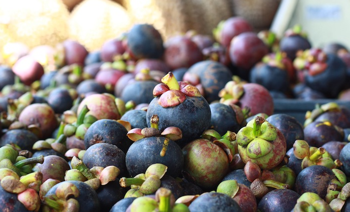 Sau sầu riêng, thêm một loại trái cây của Thái Lan gặp hạn: Giá thấp nhất trong 10 năm, Việt Nam cũng đang xuất khẩu rất nhiều - Ảnh 1