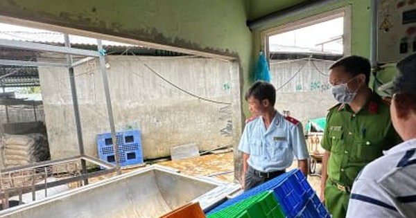 C.P. Việt Nam thừa nhận hình ảnh heo bệnh được chụp tại lò mổ thuộc công ty