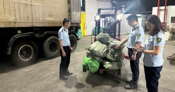 Khám một kho hàng đông lạnh ở Quảng Ninh, phát hiện "bí mật" đáng sợ bên trong