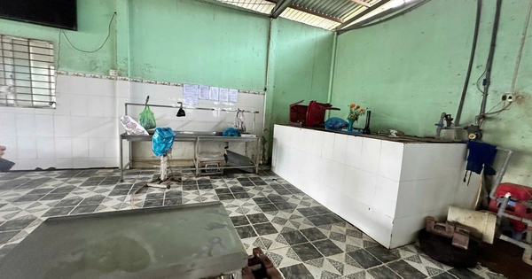 Đại diện C.P Việt Nam thừa nhận hình ảnh "tố" heo bệnh là thật, chủ cơ sở giết mổ gia công chia sẻ thông tin nóng